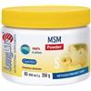 Longlife Msm Powder Integratore in polvere 250g