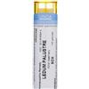 Cemon Ledum Palustre 5CH Medicinale Omeopatico, 140 Granuli
