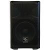 Zzipp Cassa attiva 10" Bluetooth mp3 karaoke dj ZZIPP