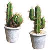 Fycooler Piante succulente artificiali Cactus finto Piante grasse finte decorative in vaso Cactus finto Cactus con vasi Cactus finto artificiale Per decorazioni per la casa Decorazioni per ufficio