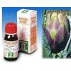 SPECCHIASOL SRL Specchiasol Carciofo 9 tintura madre rimedio fitoterapico depurativo 50 ml