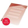 GBC Pouches per plastificatrici GBC matt - 2x75 µm - opache - A4 Conf. 100 pezzi - 3747240