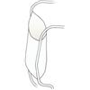 U.JET Custodie porta Holter 15x20 in TNT - 100 pezzi
