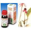 SPECCHIASOL SRL Specchiasol Echinacea 59 tintura madre rimedio fitoterapico per difese 50 ml