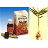 SPECCHIASOL SRL Specchiasol Olio essenziale puro di Zenzero