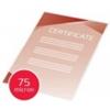 GBC Pouches per plastificatrici GBC matt - 2x75 µm - opache - A4 Conf. 100 pezzi - 3747240