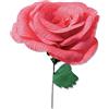 Sizzix Thinlits Die Set 5PK Classic Rose di Olivia Rose, 664923