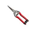 FORBICE COGLIUVA RETTA - 19 CM - FALCI