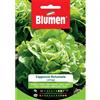 Blumen lattuga a cappuccio autunnale