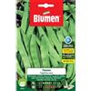Blumen fagiolini nani nassau 300 semi