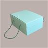 SCOTTON 5 Pz Scatola per Confezioni Regalo Porta Colomba di Pasqua 500g in Carta Verde Segreto con Cordini 210x270H120mm