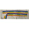 10 Fascette della pace arcobaleno cm 100x10 pacifista Sciarpa No Guerra 10 Pezzi