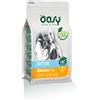 Oasy Dry Kitten Pollo - Oasy - Dry Kitten Pollo - 1,50KG