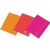 BLASETTI Cartella 3 lembi c/elast. dorso 1cm colori assortiti Fluo One Color Blasetti (Conf.6)