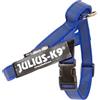 Julius-K9 Pettorina a Fascia Color & Gray, Taglia Mini, Blu/Grigio