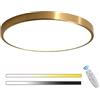 OURLOVEII LED Plafoniera Oro Rotondo Pannello Interno Lampada Da Soffitto Camera Da Letto Moderno Dimmerabile con Telecomando Ultra Sottile Per Corridoio Soggiorno Balcone Bagno Spogliatoio Ø30cm+18W