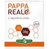Erba Vita Group Pappa Reale Fresca 30 G