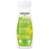 Weleda Italia Crema Fluida Idrat 24h Limone 200 Ml