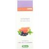 Derbe Shampoo Anti Untuosita