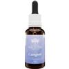 Green Remedies Bush Biotherapies Pty Caregiver 30 Ml