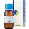 BOIRON Srl Rosmarinus Officinalis Macerato Glicerico 60ml Boiron