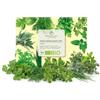 growgreens Semi di borragine biologiche - Semi di erbe aromatiche da coltivare in cucina, sul balcone, sul orto rialzato e in giardino (Set di 10 erbe)