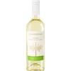 Santoro - Terre di Sava Chardonnay Puglia IGP Santoro 2024 - Santoro - Terre di Sava - Formato: 0.75 l