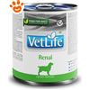 Farmina Dog Vet Life Renal - Lattina da 300 gr