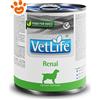 Farmina Dog Vet Life Renal - Lattina Da 300 Gr