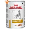 Royal Canin Dog Veterinary Diet Urinary S/O - Lattina da 410 Gr