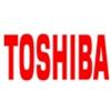 Toshiba Toner Magenta per E-Studio2010AC-2510AC_33.600 pag 6AJ00000270