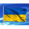 Oedim Bandiera dell'Ucraina 150 x 85 cm, rinforzata e con punte, bandiera con 2 occhielli metallici e resistente all'acqua, giallo (LEG06403001)