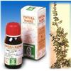 SPECCHIASOL SRL Specchiasol Uva Ursina 30 Tintura Madre 50 ml