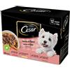 Cesar selezione in salsa 12x100 g
