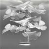 Artemide Chlorophilia 2