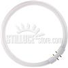Lampadine Circolina T5 2GX13 FC 55W - ø 300 mm.