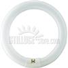 Lampadine Circolina G10q 22W - ø 216 mm.