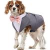 PUMYPOREITY Vestito Cotone per Cani Maglietta Shirt Cani Cappottino Completo Elegante con Papillon Abbigliamento Costume per Cani Feste Halloween Matrimoni Compleanno Natale(Grigio, M)