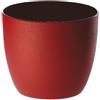 Erba Coprivaso milano cm 18 rosso