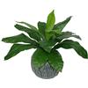 Leaf Felce artificiale, nido di uccelli standard, 50 cm