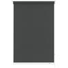 Gardinia Tenda a Rullo con Catenella Laterale, Installazione a Parete, soffitto o nicchia, Trasparente, Opaca, Kit di Montaggio Incluso, Grigio, 82 x 180 cm (LxA)
