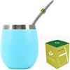 Novomates Tazza Mate con Bombilla in Acciaio Inox - Miglior Set per Tè Mate Argentino - Tazza a Doppio Strato in Acciaio Inox con Cannuccia in Acciaio Inox Riutilizzabile - (Verde Acqua, 237ml)
