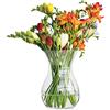 TREND FOR HOME Vaso Fiori Trasparente Vaso per Fiori 18 cm Vaso da Interno Vaso Vetro Colorato Vasi Moderni da Interno Design per Decorazioni Casa, Poppy, Trasparente