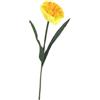 Narciso in Stelo con foglie