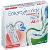 Enterogermina 6 Miliardi/2g 9 buste