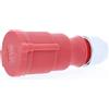 as - Schwabe Presa Elettrica CEE 400V/32A/5-pin - Presa per correnti forti con connessioni a vite - Resistente agli urti - Protezione dagli spruzzi IP44 - Made in Germany, 61427