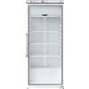 FORCAR Armadio Refrigerato ERV600G Ecovent - Lamiera Verniciata e Porta a Vetro - Capacità Lt 538