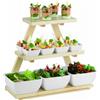 PADERNO WORLD CUISINE Espositore buffet cm 53x21x50 acero