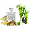 PADERNO WORLD CUISINE Grattugia wasabi, aglio, zenzero, noce moscata cm 11x7,5 inox