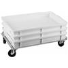 PADERNO WORLD CUISINE 44026-60